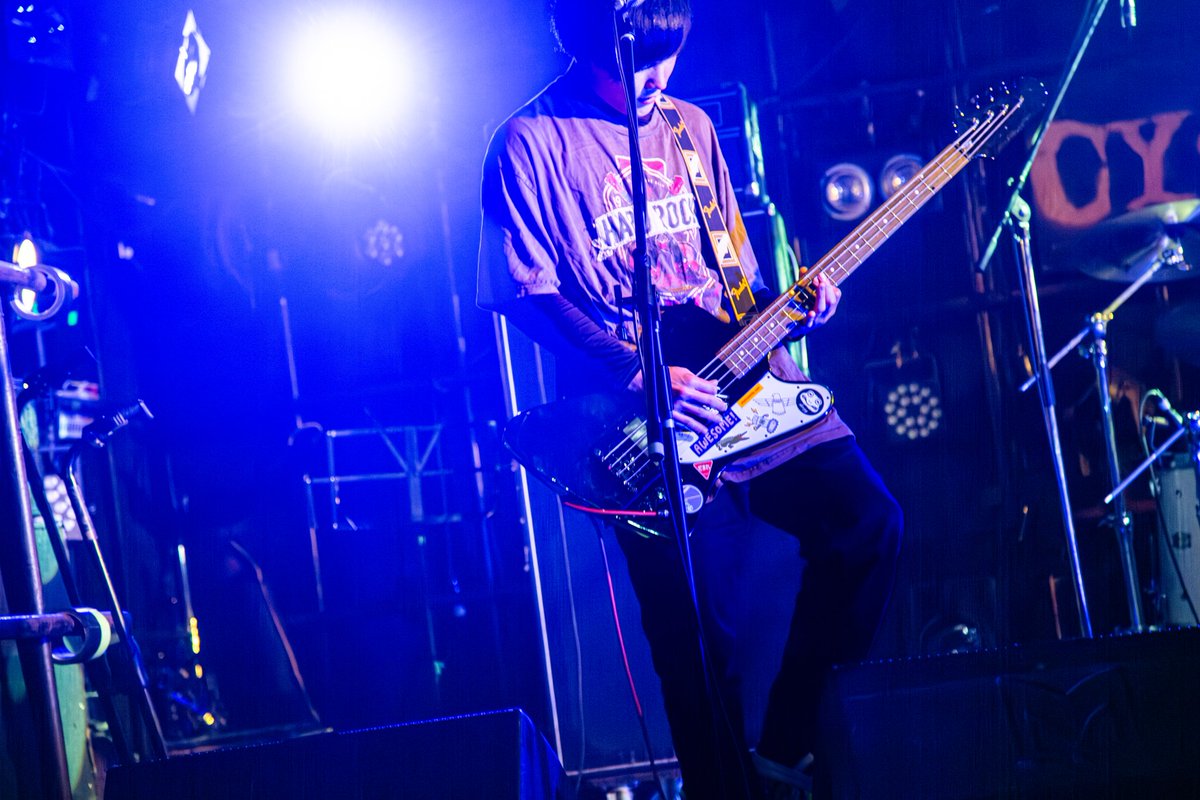🐸カエルの王様-公式-👑 tweet media