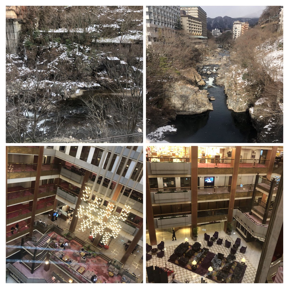 ベルンちゃん👑 tweet media