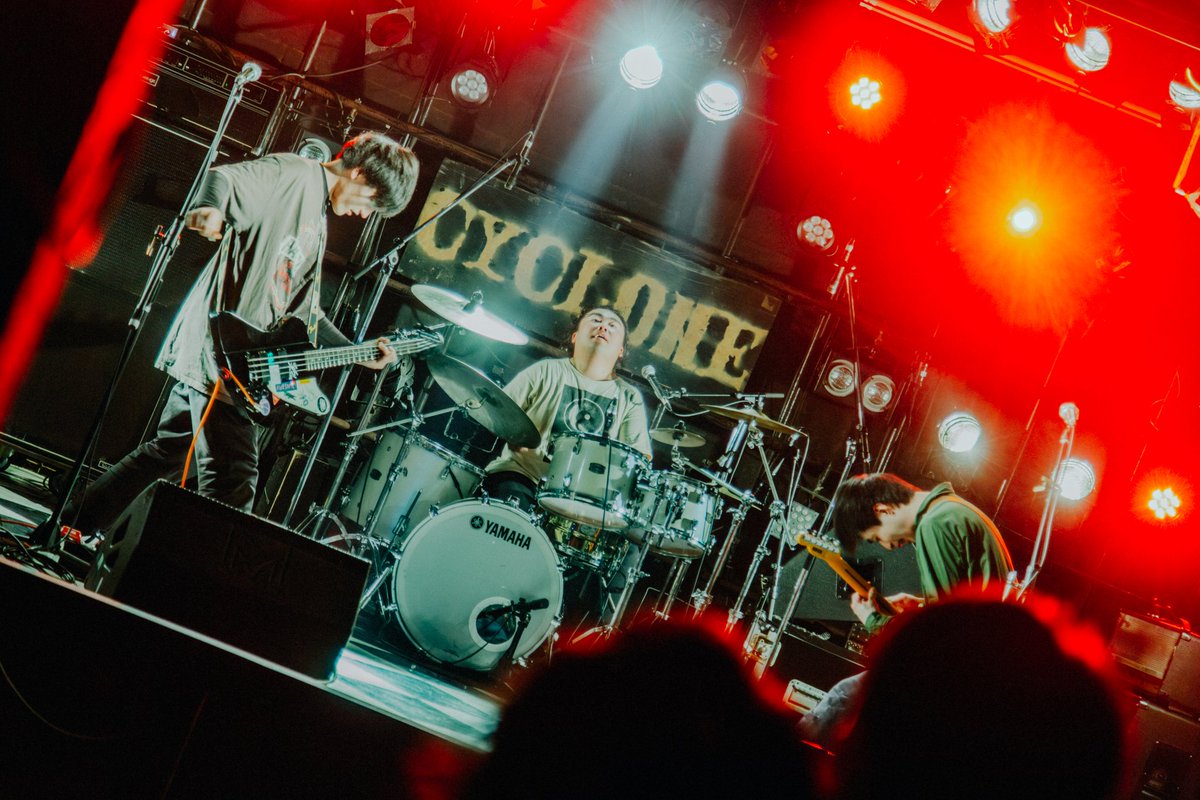 🐸カエルの王様-公式-👑 tweet media