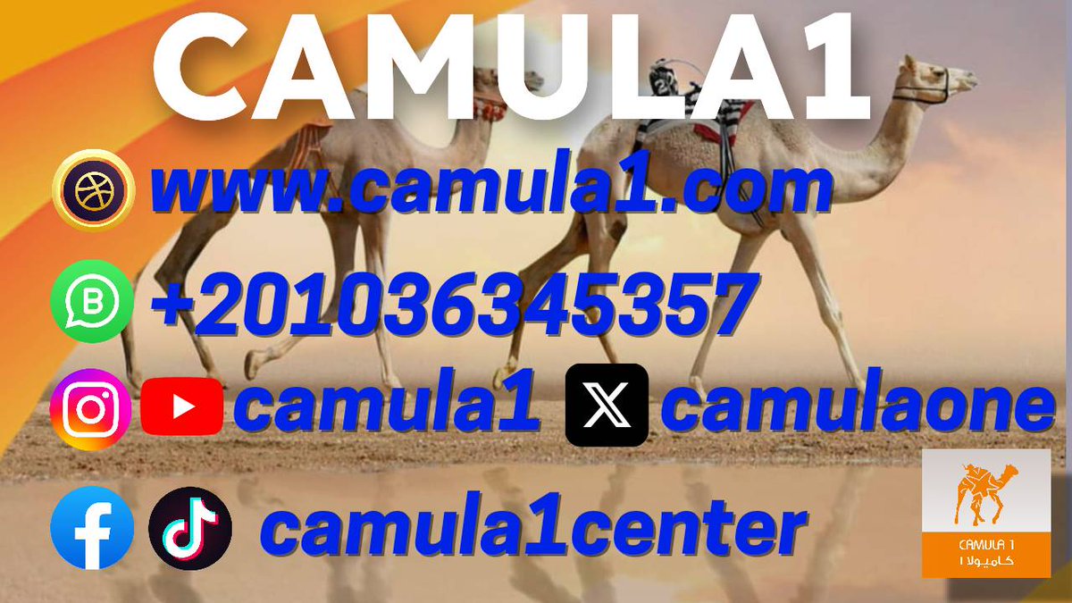 camulaone's tweet photo. https://t.co/pl8qXdHw1H https://t.co/WzmSxTaScA