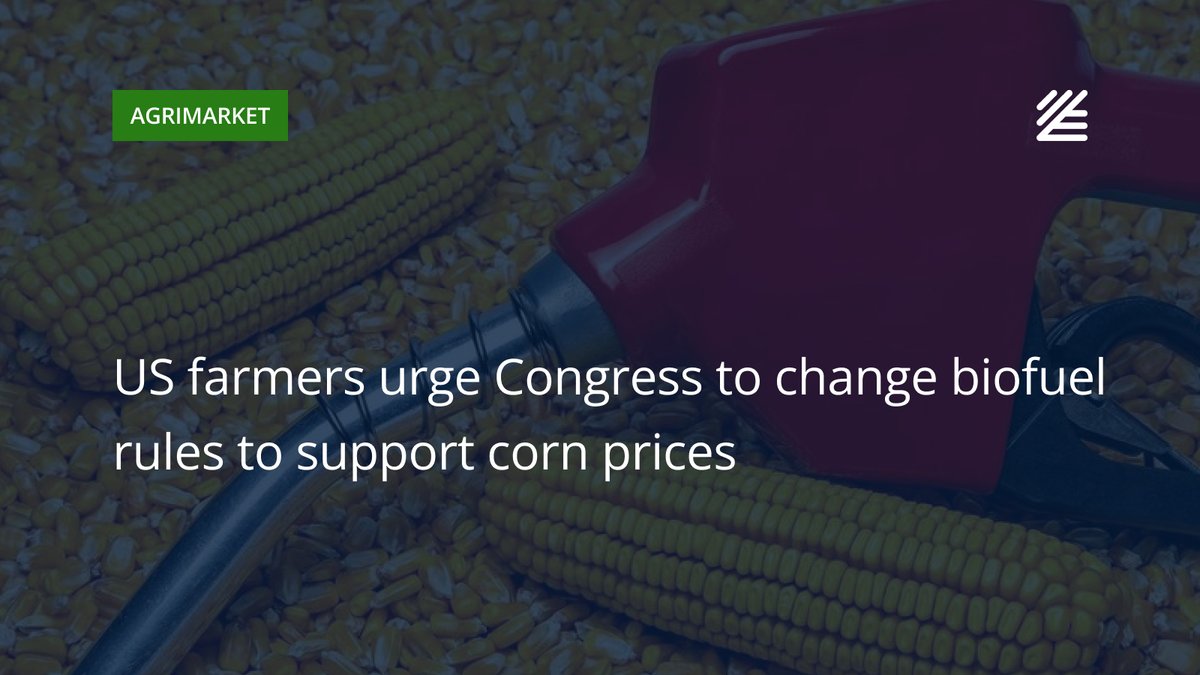 UkrAgroConsult's tweet image. 🇺🇸#US farmers urge Congress to change #biofuel rules to support #corn #prices

More than 70 US biofuel and agricultural organizations have called on the Congress to swiftly pass legislation allowing year-round nationwide sales of E15 gasoline. 

Read more👉surl.li/vjzfzi