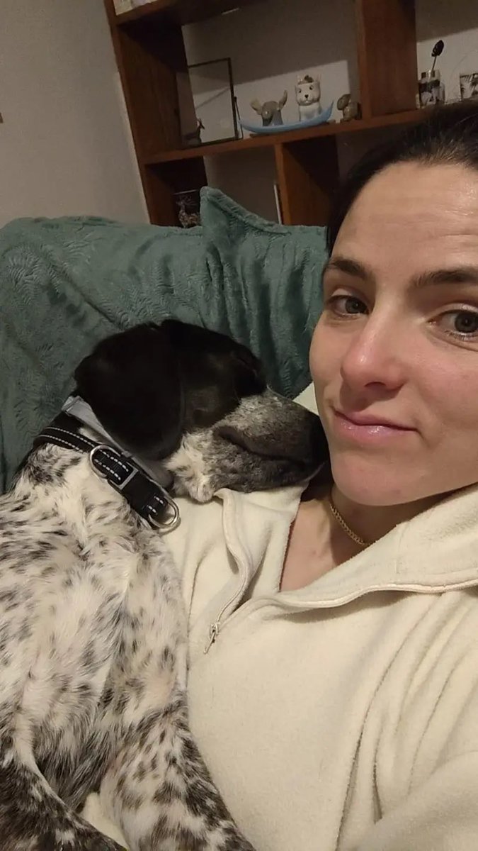 Action Protection Animale tweet media