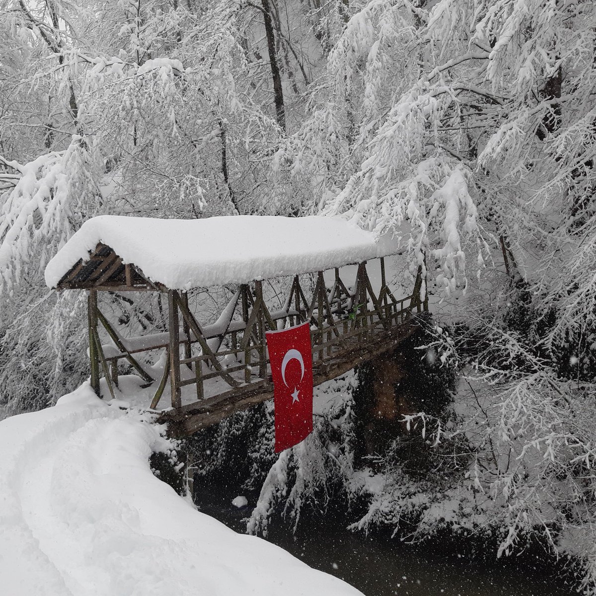 mehmetkesen (@mmtkesen) on Twitter photo 