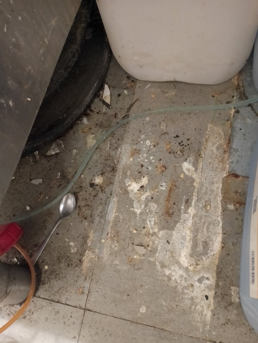 ComunityPlayer's tweet image. Una mala gestión de limpieza, el aliado perfecto para tener plagas de cucarachas