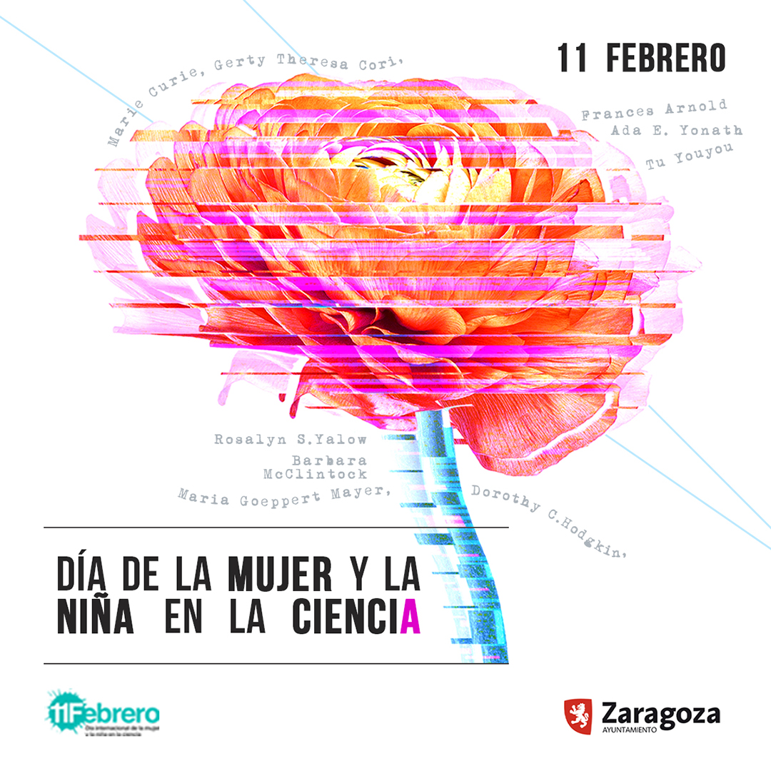 IgualdadZGZ's tweet photo. #11Febrero
#Zaragoza se suma al 𝗗í𝗮 𝗜𝗻𝘁𝗲𝗿𝗻𝗮𝗰𝗶𝗼𝗻𝗮𝗹 𝗱𝗲 𝗹𝗮 𝗠𝘂𝗷𝗲𝗿 𝘆 𝗹𝗮 𝗡𝗶ñ𝗮 𝗲𝗻 𝗹𝗮 𝗖𝗶𝗲𝗻𝗰𝗶𝗮 👩‍🔬🧬🚀💜
😍Consulta el programa de actividades que hemos preparado para celebrar este #11F
👉https://t.co/eQI1m7hlbA
@zaragoza_es @unizar @GobAragon https://t.co/t2Bq4rzaoD