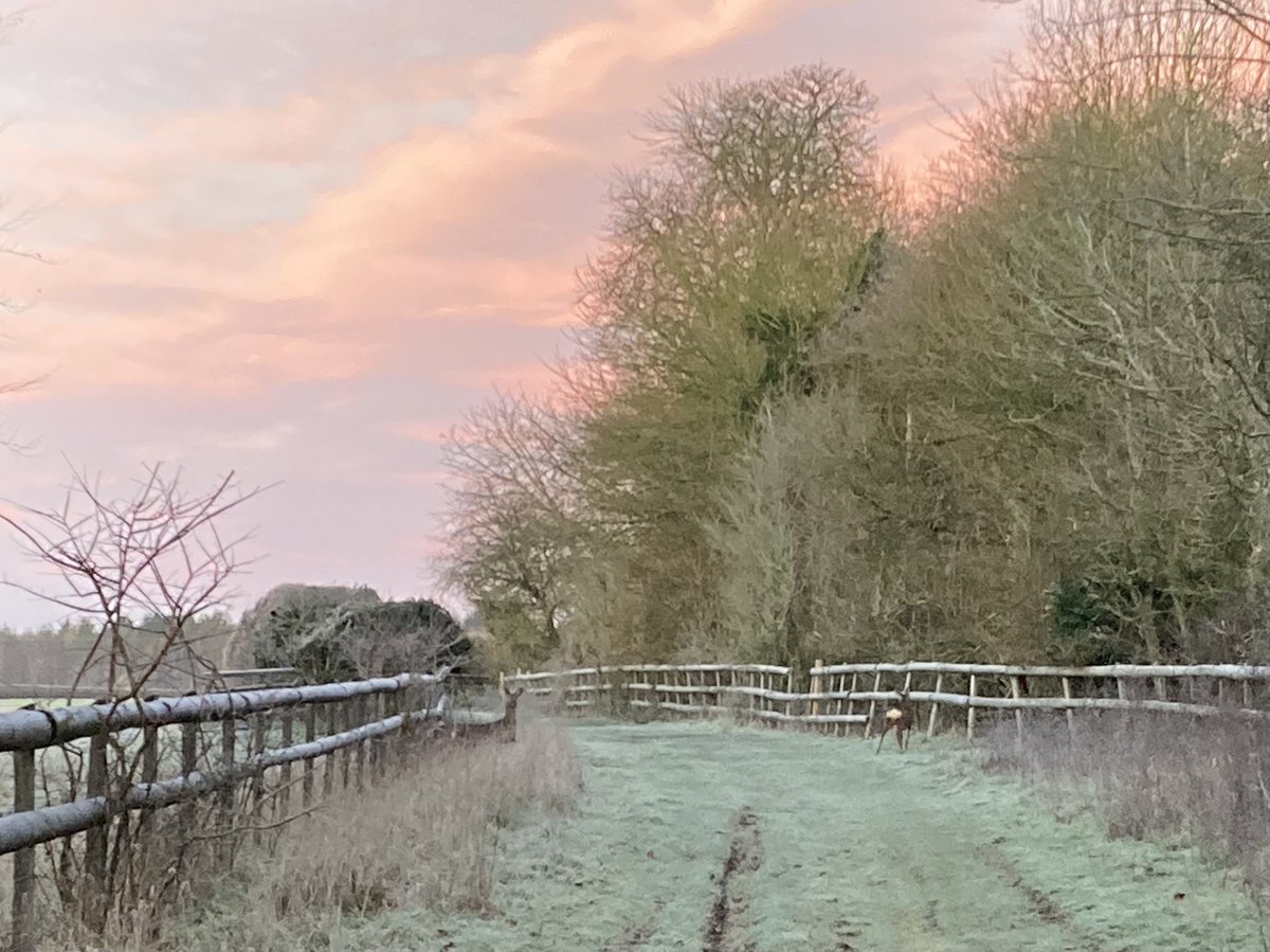 Kate Russell tweet media