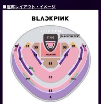 WTS BLACKPINK 2025 WORLD TOUR ブルピン チケット 東京ドーム 【譲