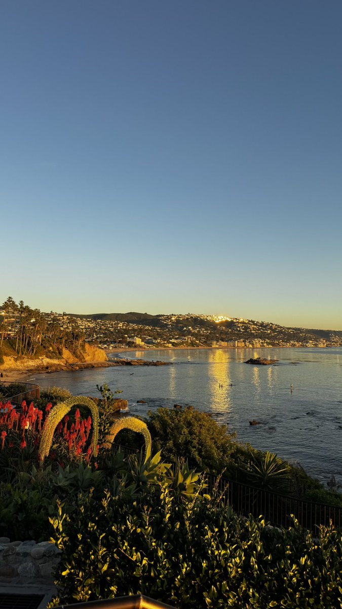 mx1llas's tweet image. laguna