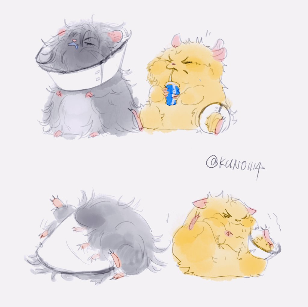 血肉白樺(Kuno) tweet media