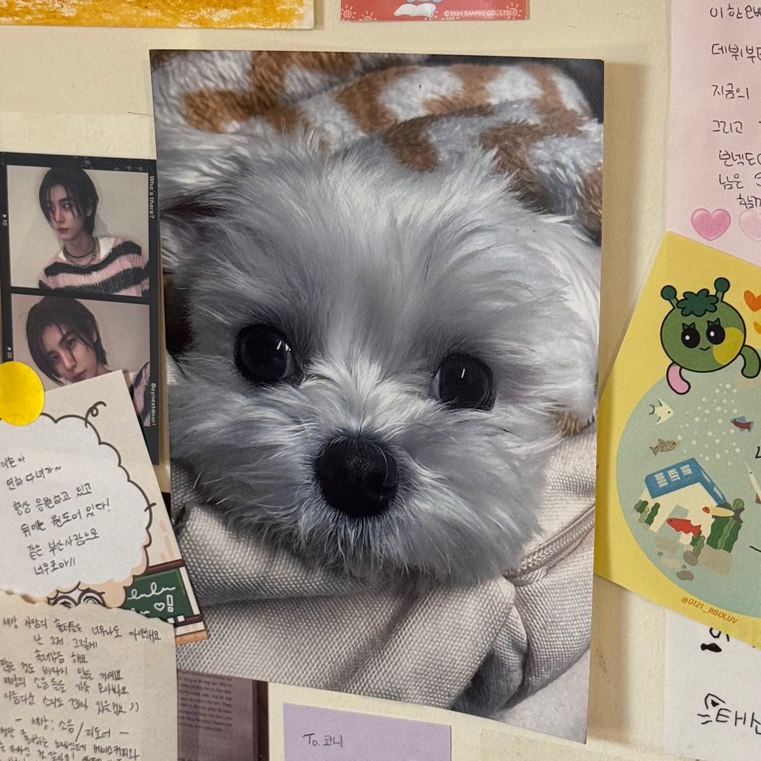 하울 tweet media