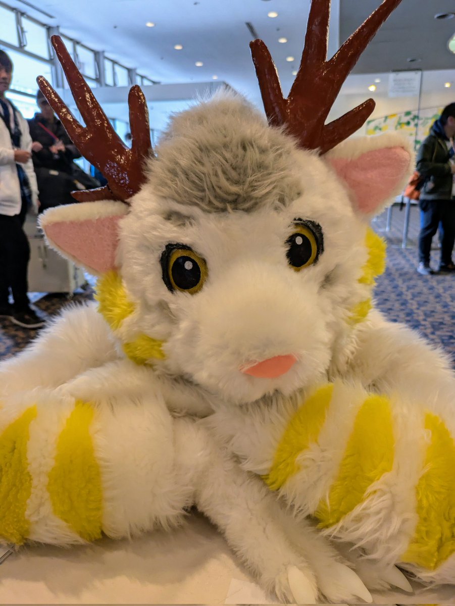 akatuki1541's tweet image. JMoF中ボラ受付に遊びに来てくれた可愛い子ちゃん達
#JMoF2026