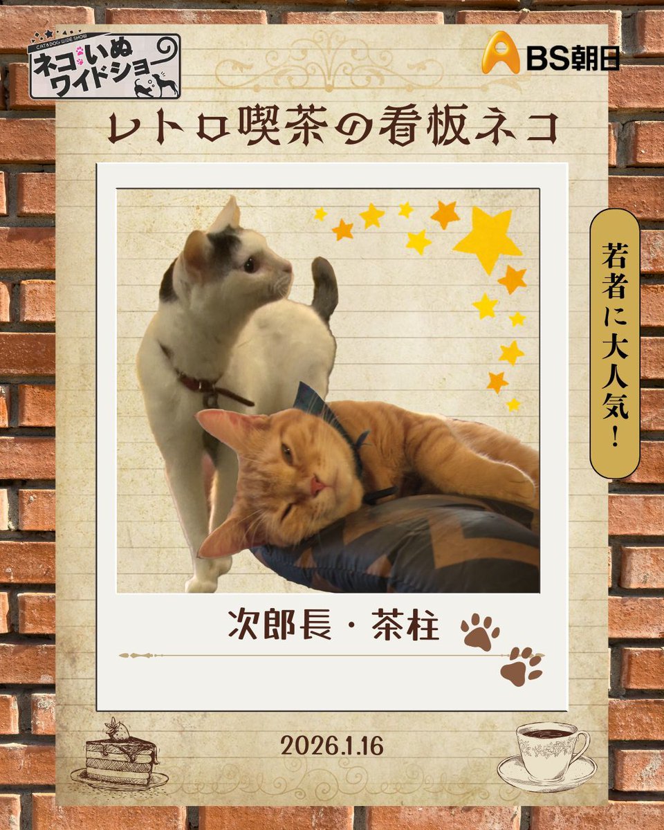 新宿三丁目にある1978年創業のレトロカフェ☕️ ここには若者から人気