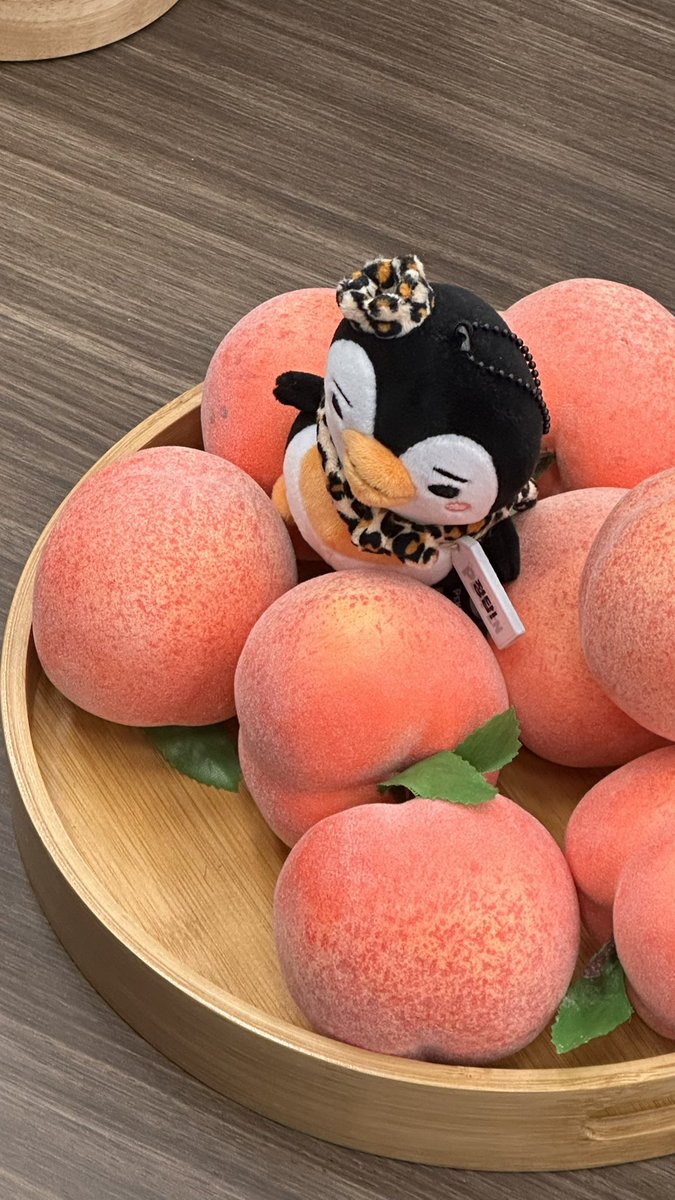 스리슬쩍 바뀌는 정답펭팽
오늘 3시에 누웠다가 4시타임에 일어남 ㅋ 

사웨직원들친절하더라🥰
안그런사람도있지만 친절사원투표해드리고 싶은언니(이쁨)있었음

첫날부터열심히미소날려준직원보너스주라!!