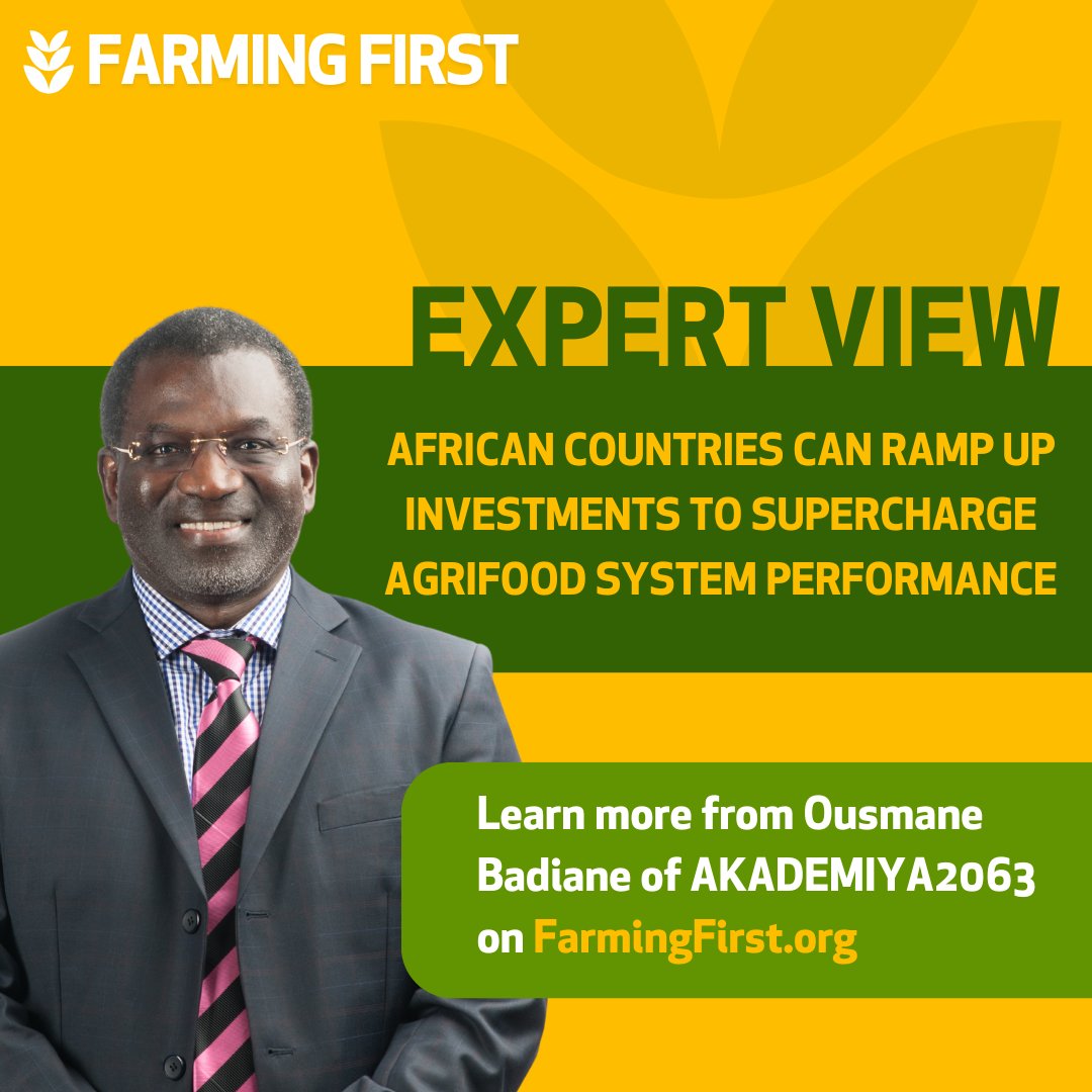 farmingfirst's tweet image. Three ways African countries are scaling up investment in food systems from @AKADEMIYA2063’s @DrOBadiane 👇🏾

🇷🇼 Rural savings &amp;amp; credit
🇲🇦 Public finance crowding in private capital
🇲🇼 Digital tools for smarter subsidies

Learn how on Farming First👇🏾
bit.ly/4ady7iG