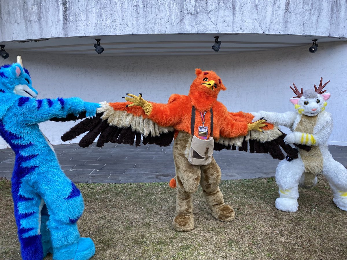 yuuki0810magma1's tweet image. タカカイグリ！
この３体見たのははつじゅー会13以来でした
再びこの３体見れて嬉しいです！
後、4枚目の所がグリフィンくんを取り合ってるタカカイがかわいい！

#JMoF2026