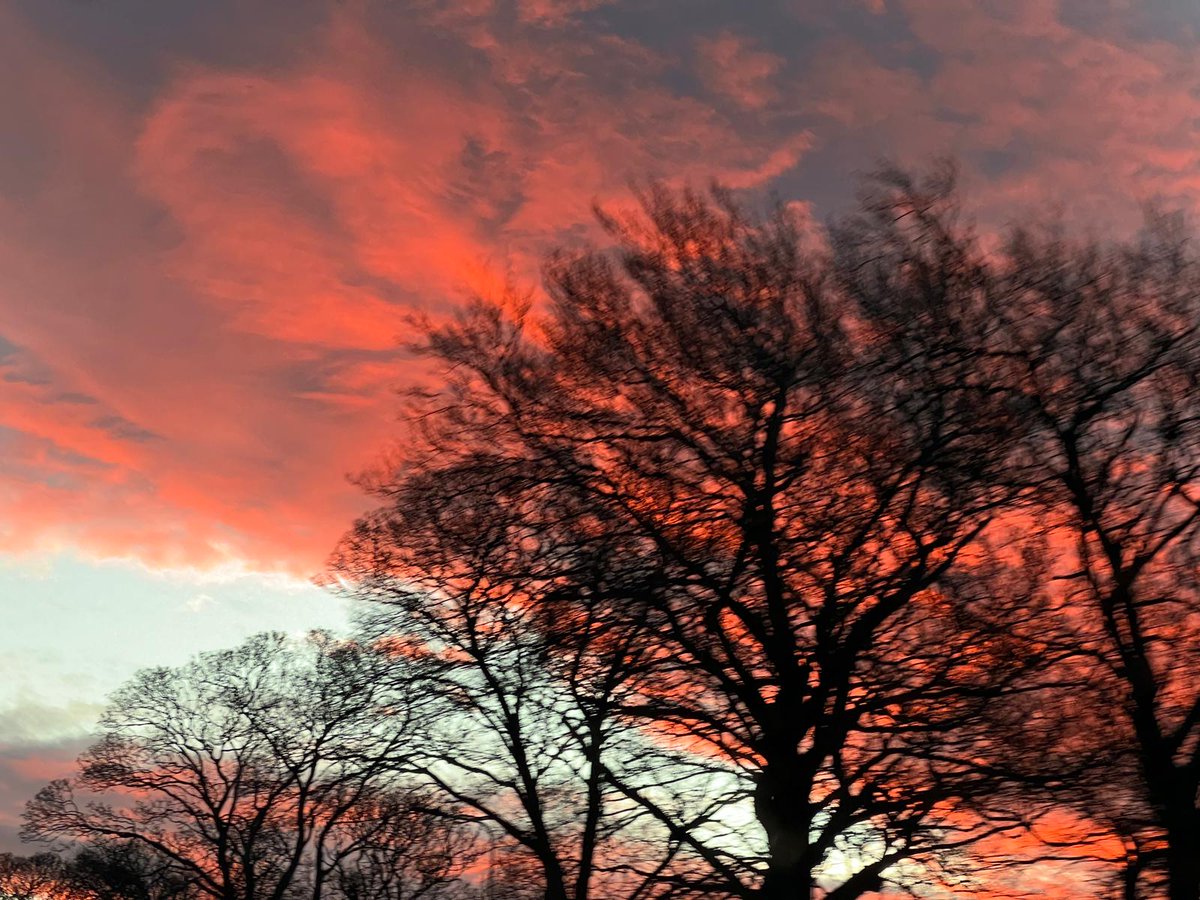 Stunning sky this morning.