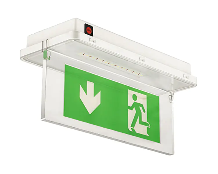 zhnng231854's tweet photo. IP65 waterproof running man exit sign with 11 LED, maintained emergency mode &amp; rechargeable battery. Built for wet locations.
Feituo – Emergency Lighting Exit Sign Manufacturer.
📩 info@feituo.net
🌐 https://t.co/L5BJ2rXgIy
#feituo #emergencylighting #ledemergencylight https://t.co/j8pKJe8lue