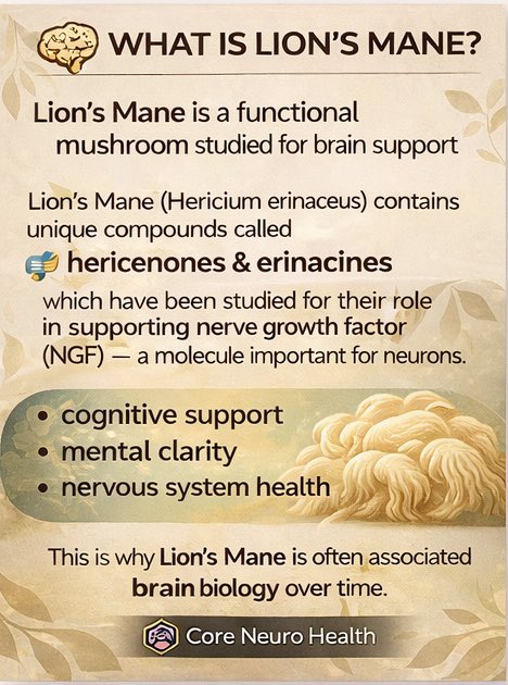 CoreNeuroHealth's tweet image. Lion’s Mane is one of the most talked-about functional mushrooms — but understanding why matters more than the hype.

It’s not a stimulant.
It doesn’t “hack” your brain.

Lion’s Mane is studied for how it supports nerve growth factor (NGF), brain plasticity, and long-term