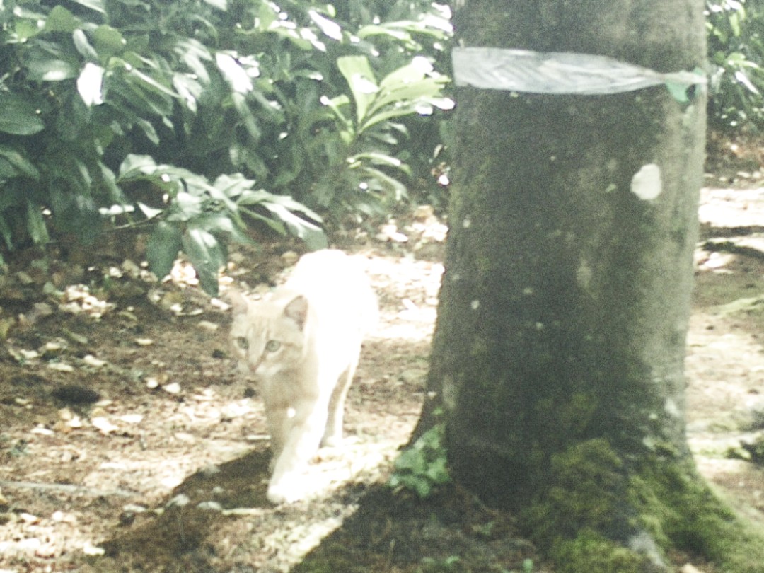 rr (@salirophilia) on Twitter photo 