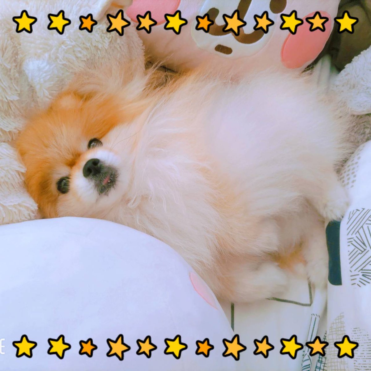 今日のS株投資 🥉第一生命など 日経平均&TOPIXともに連日で最高値更新