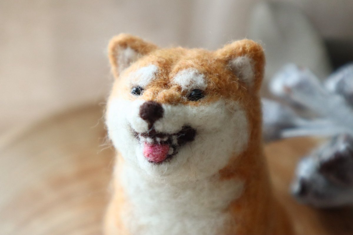 39_hai's tweet photo. 怒ってるむちむち柴犬作りました🐶
顔のシワうまくできたと思います！
 #羊毛フェルト https://t.co/KxapmCE7l5