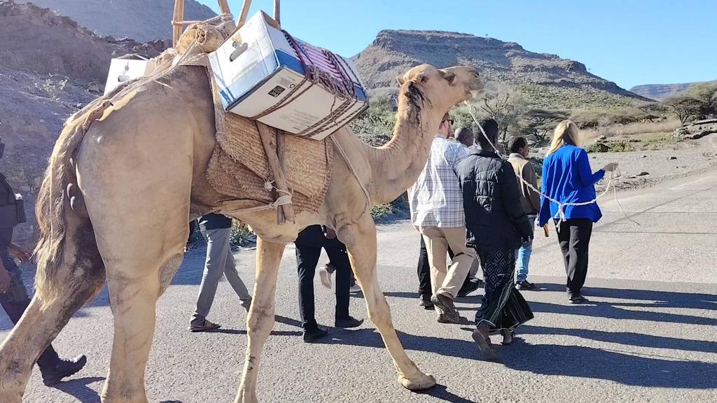 Aboyta Amoyta tweet media