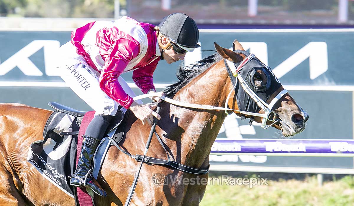 Western Racepix tweet media