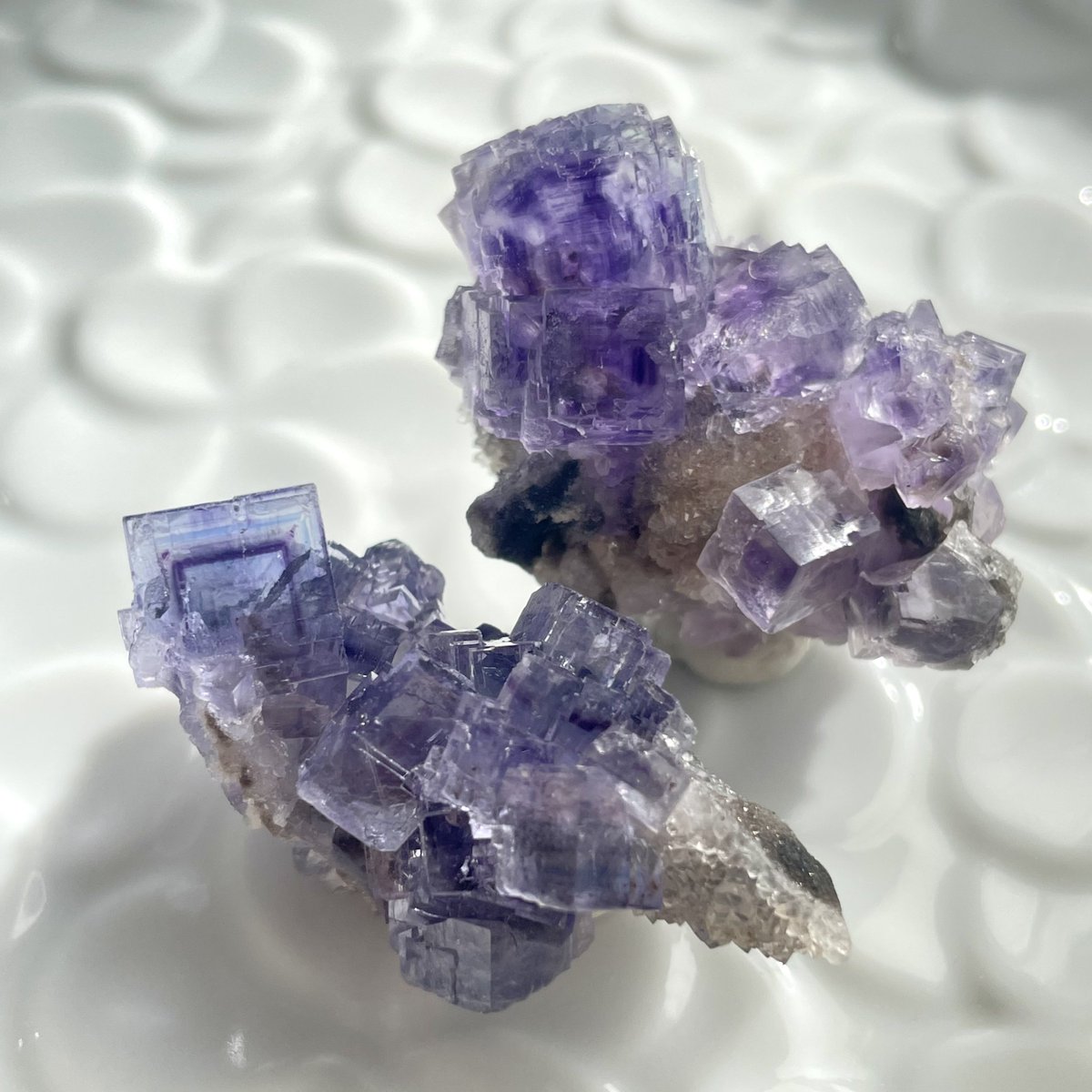 マイカインフローライト貝殻♡No94 シェル♡♡ Kotoko (@Kotoko_f