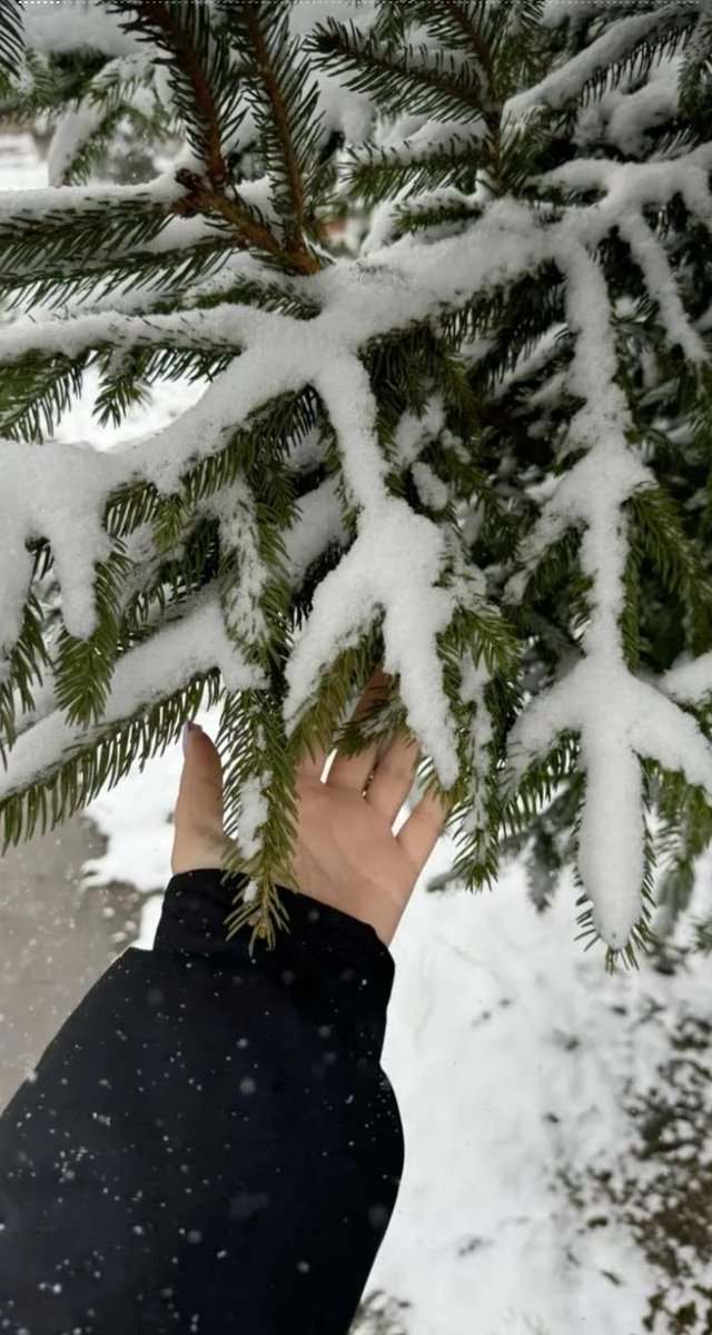Sen hayal ettiklerimin kat kat fazlasını nasip edecek kudrete sahipsin rabbim, bana hayallerimi yaşamayı nasip et.