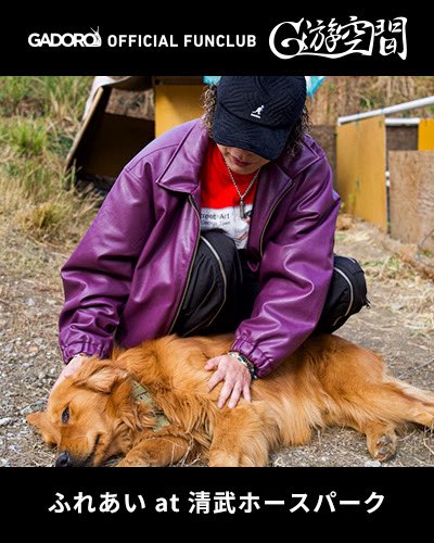 ぶーちゃん (@boochan2929M) / Posts / X