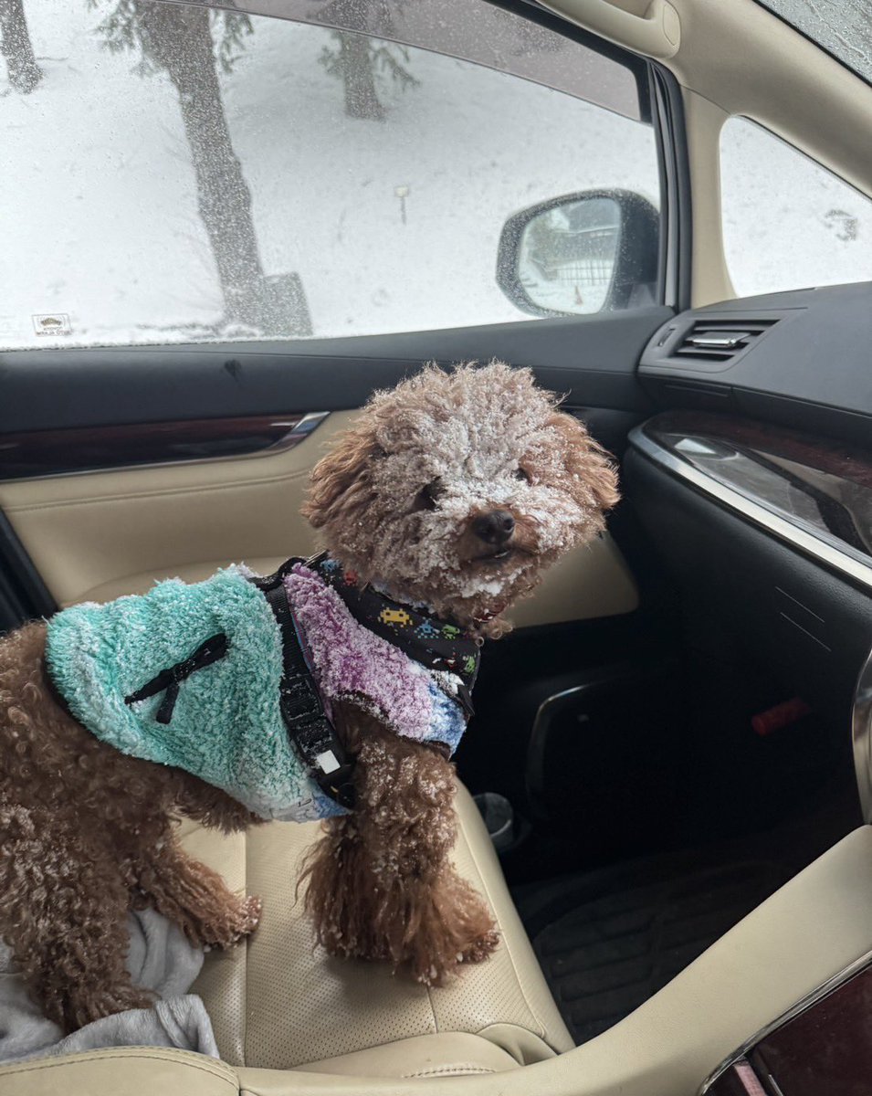 冬のおさんぽ⛄️