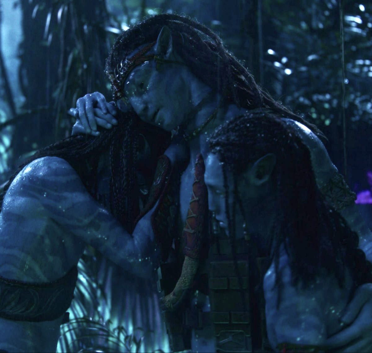 제프리스 사기.qzt