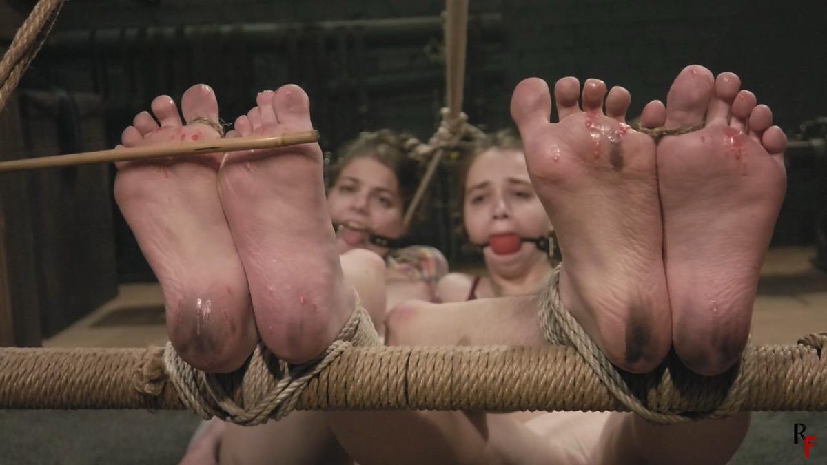 RF studio tweet media