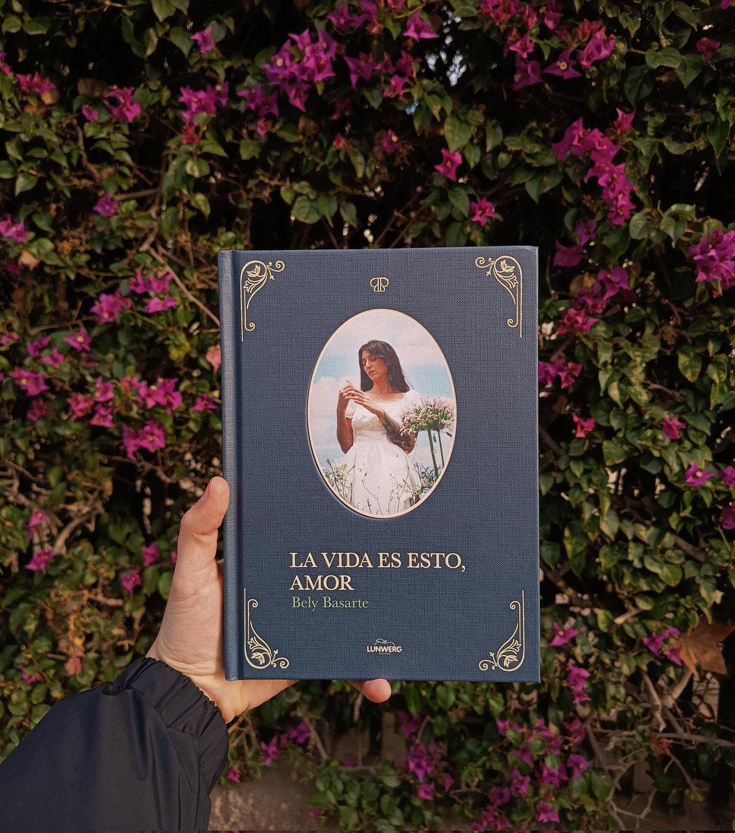 Silvia 🐿️ tweet media