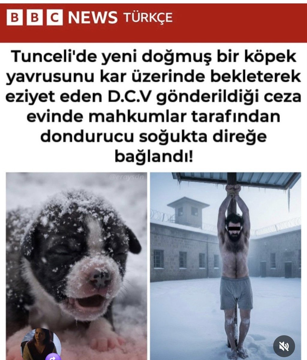 kingoftheroka's tweet photo. Adalet
#mügeanlı https://t.co/TokFWFuVQN