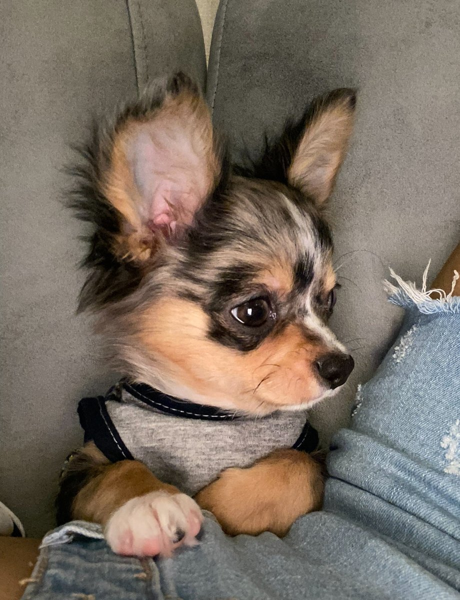 Baby😊😊

WONDERFUL YEAR ENGFA14
#อิงฟ้ามหาชน #EngfaWaraha 
<a href="/EWaraha/">Engfa Waraha (ตัวจริง)</a>