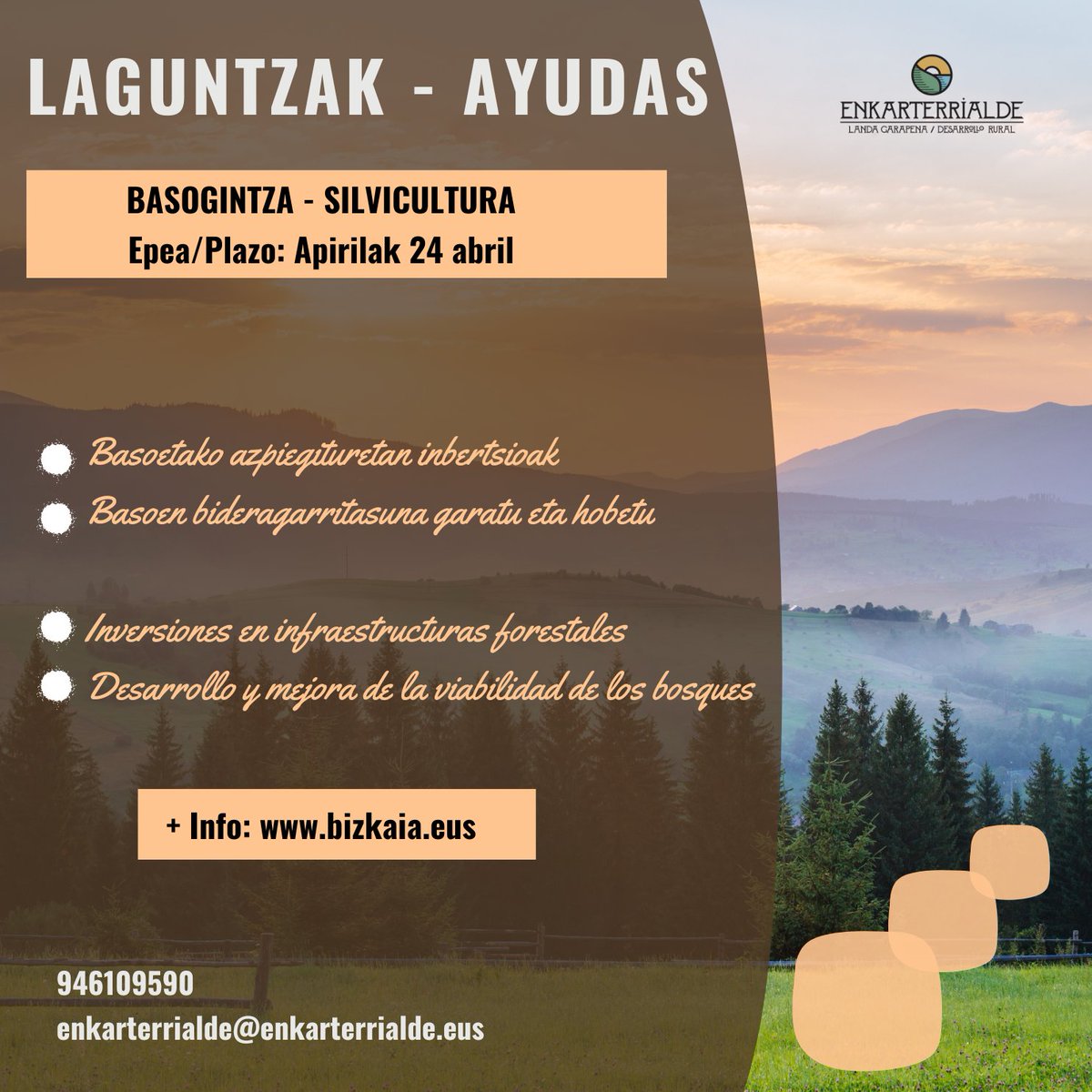 enkarterrialde's tweet photo. 🌳Dirulaguntzak - Ayudas
✅Basogintza - Silvicultura
#Enkarterrialde #bizkaia https://t.co/hoxwUBiyLV