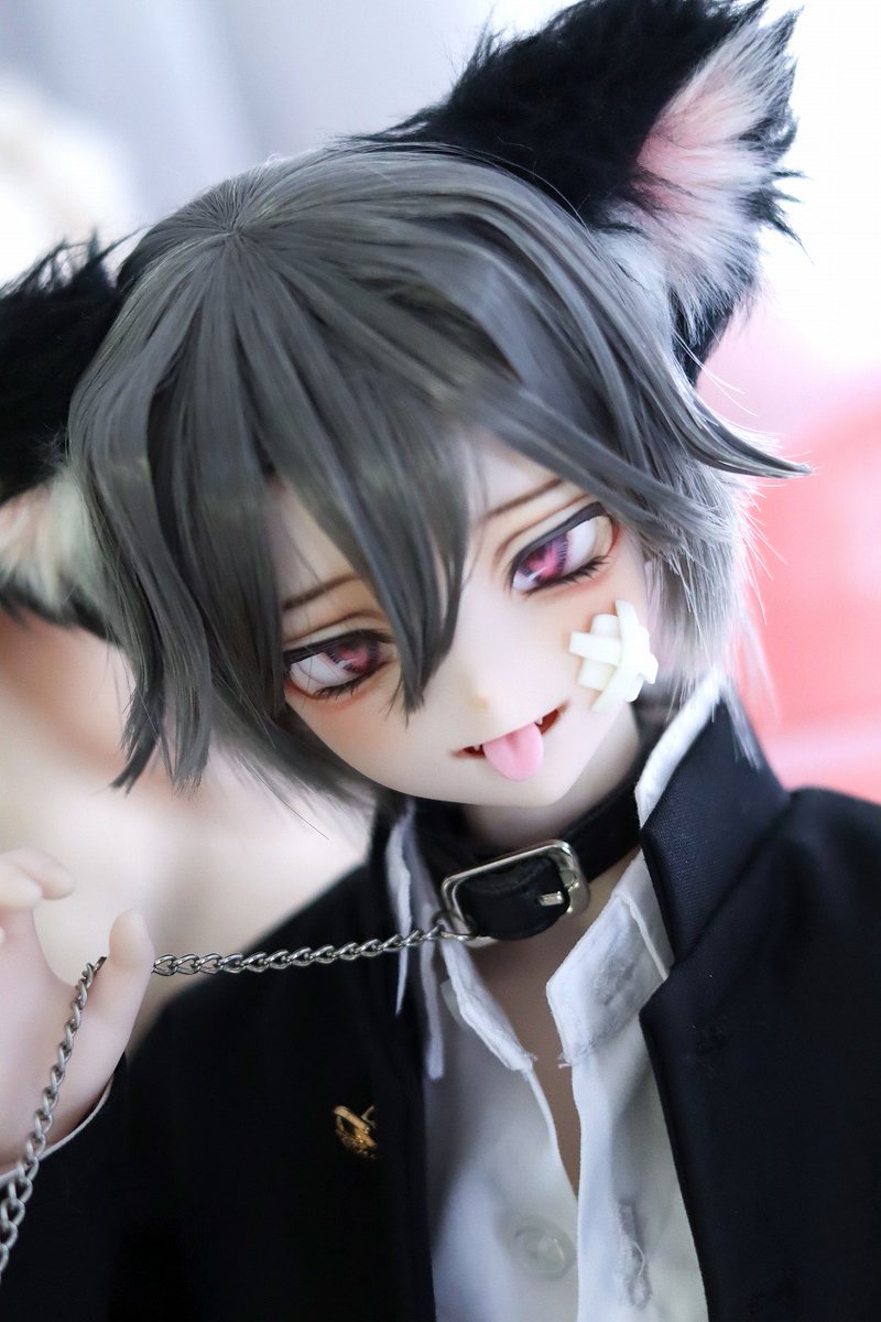 にゃぽ𓆩 ✞ 𓆪 ˚˙ (@nyapokoro) / Posts / X