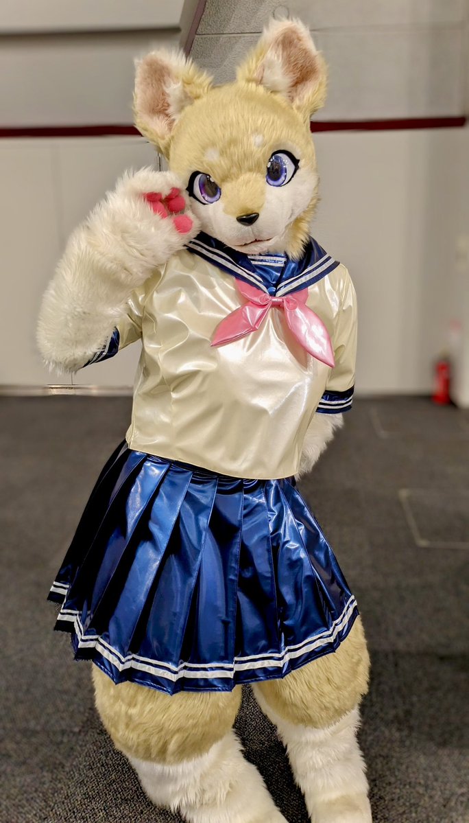 sinon77's tweet image. コミッション受付します。  

ケモ着ぐるみ向け特大/超特大サイズ、人間男性XLサイズ  
スカートは指定サイズ±1cmのアジャスト機能付き

 通常生地セーラー服　7万～
 エナメルセーラー服　8.5万～
通常生地巫女服　7万～
エナメル巫女服　9万～
ケモしっぽ　2万～

配色アレンジ可能