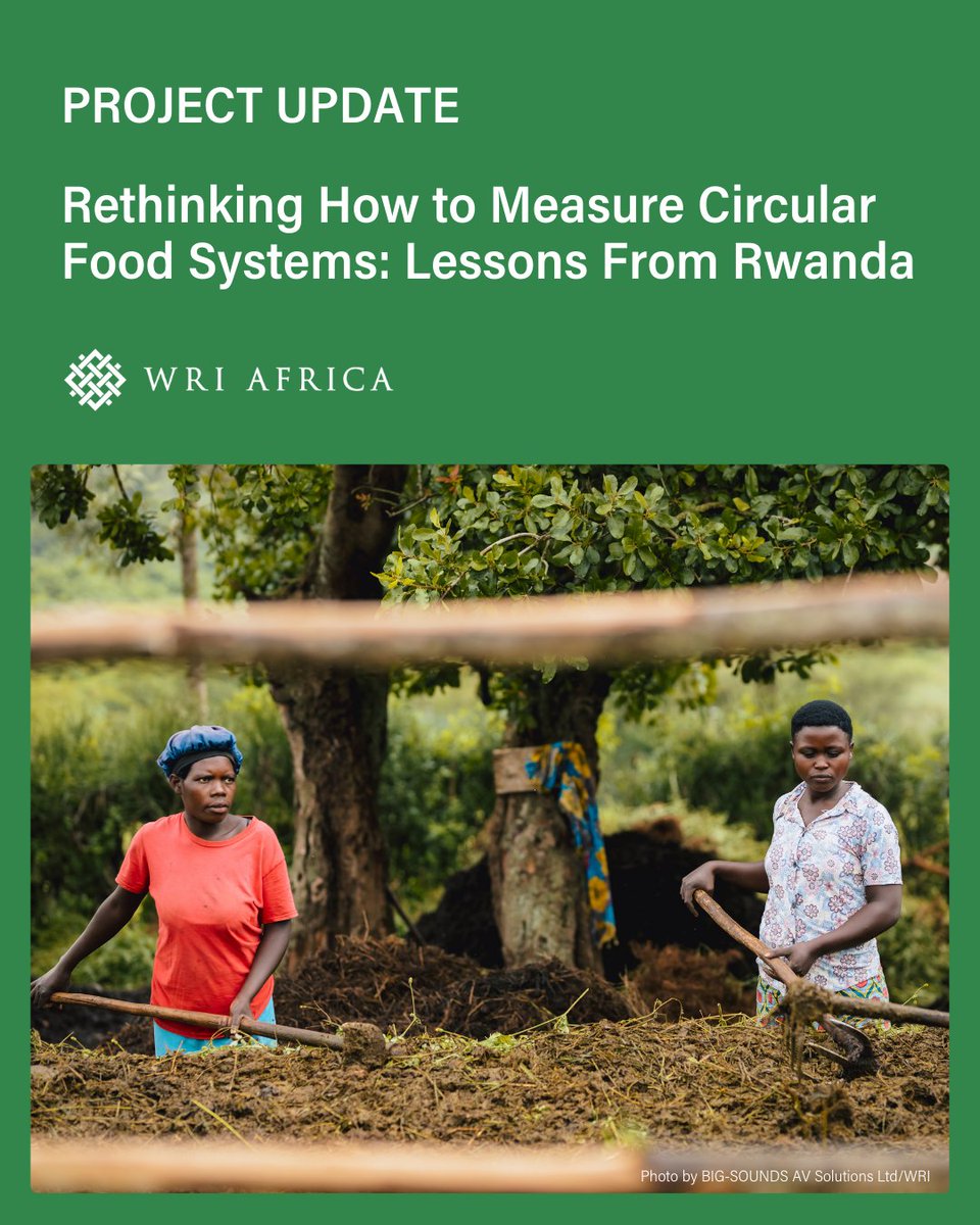 WRI Africa tweet media