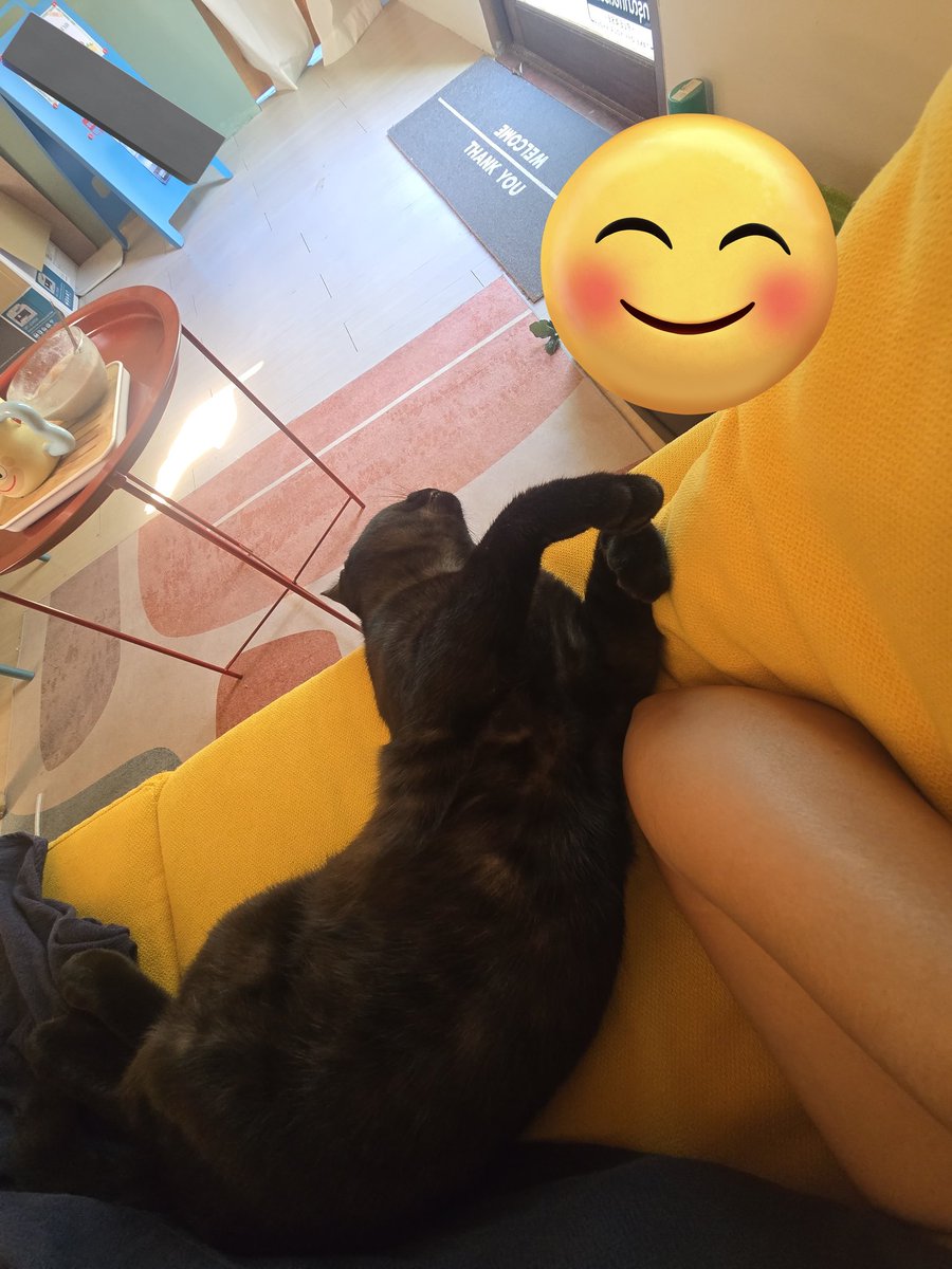 🍋Mänäw🍋 tweet media