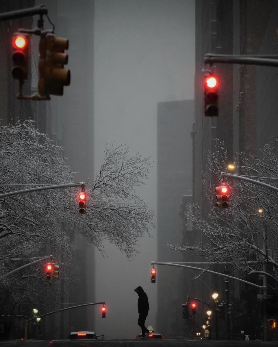 the_gpc_'s tweet photo. Winter in New York City 📸 https://t.co/4ajZrnOMes