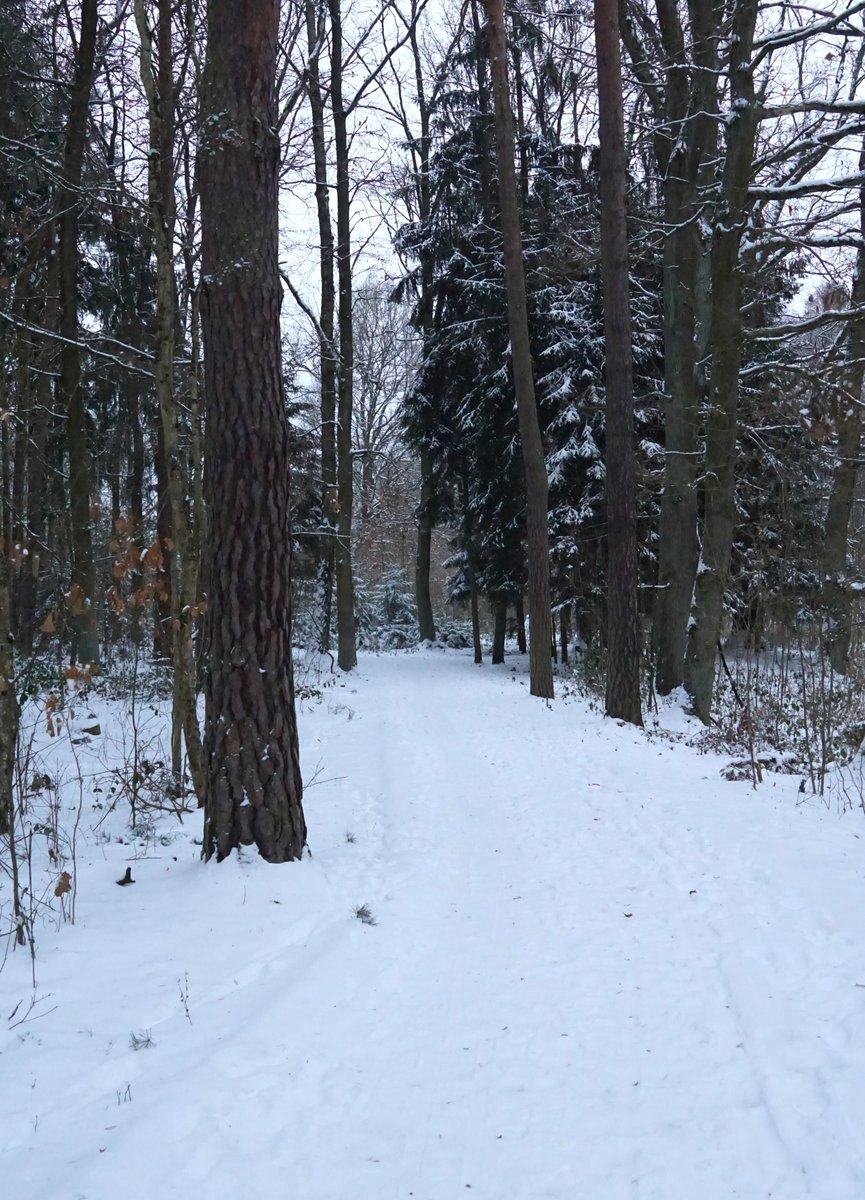 Vzpomínková zasněžená❄️🌨️⛄️.
Foceno v pondělí, dnes po oblevě a noční mlze téměř bez sněhu. Ale tuhle krásu si budu prohlížet a věřit, že snad se ještě dočkám!
Odzdobila jsem stromek a nechala v pokoji už jen zimní dekorace a světýlka, aby bylo útulněji v té šedi.
Hezký den☁️🌲🙂
