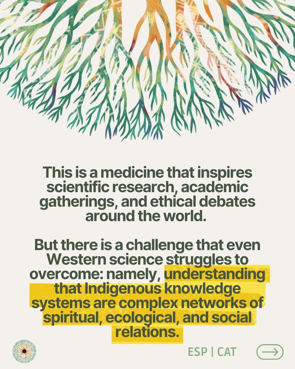 AyaConference's tweet image. Ayahuasca crosses borders and connects worlds: from the forest to universities, from Western science to ancestral knowledge. It reminds us that knowledge is a relationship with spirit, territory, dreams, and songs.

ayahuasca2026.com