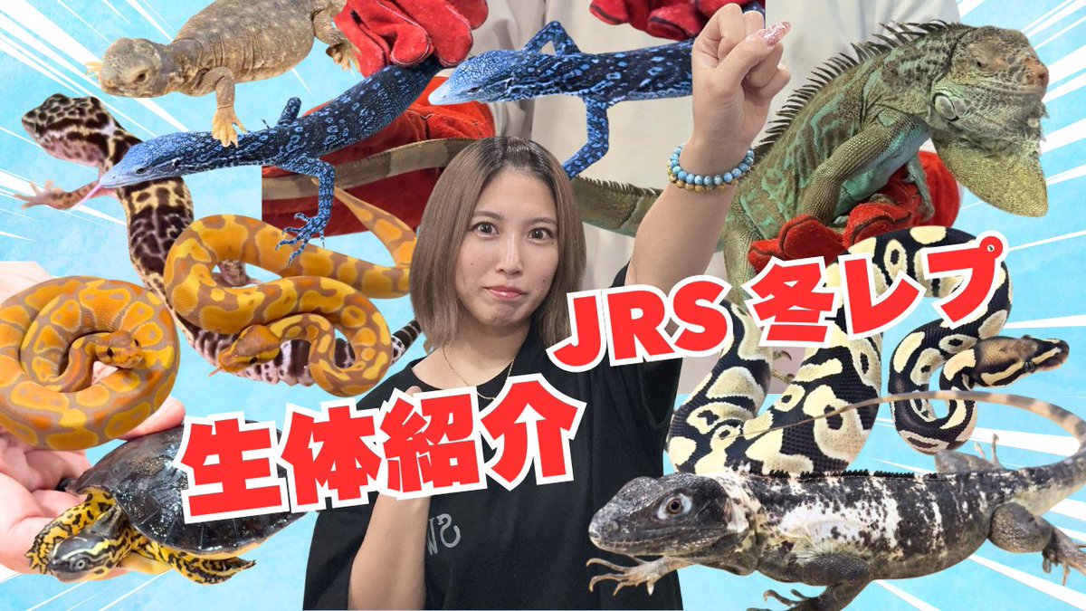 たまちゃん トコチャンプル ちゃんたま (@chantama_87) / Posts / X