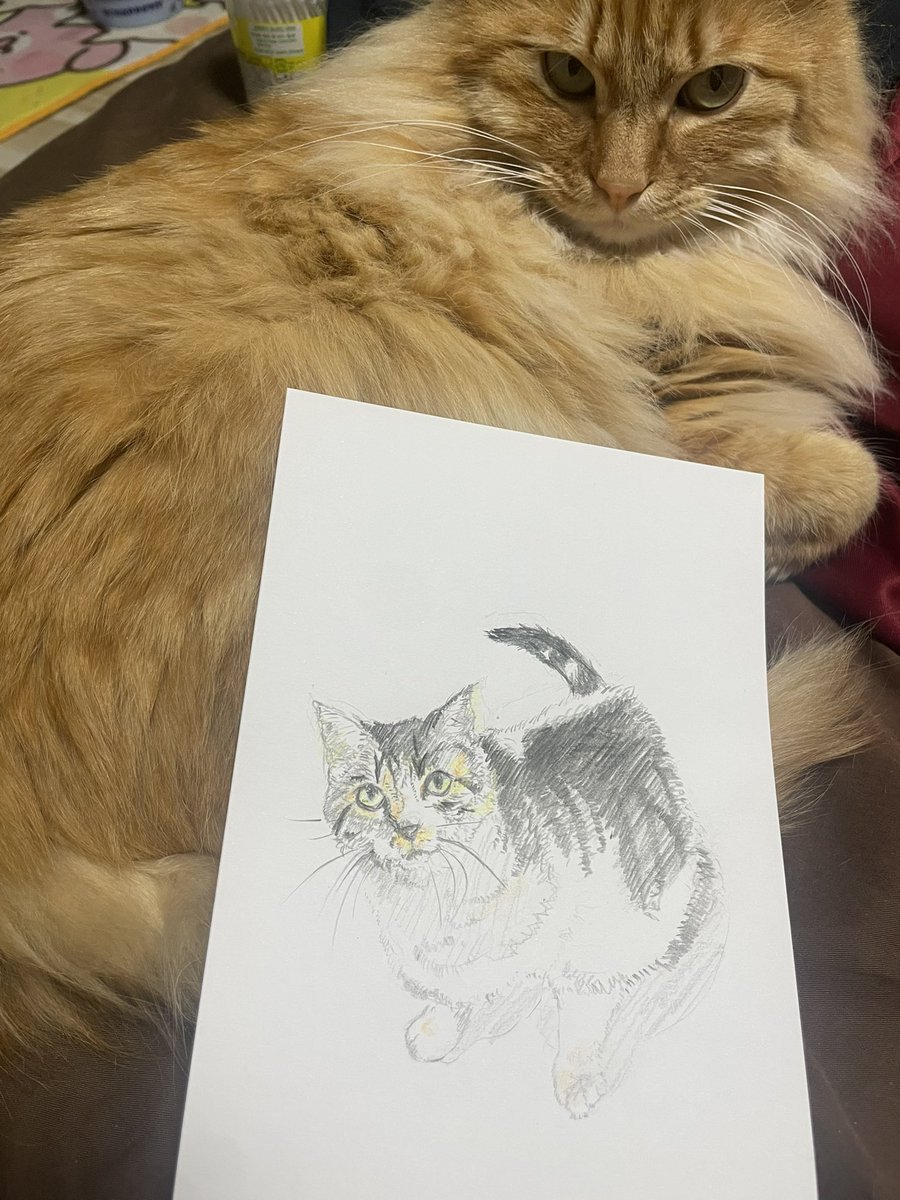 KIYO (@kiyo_ossan) / Posts / X