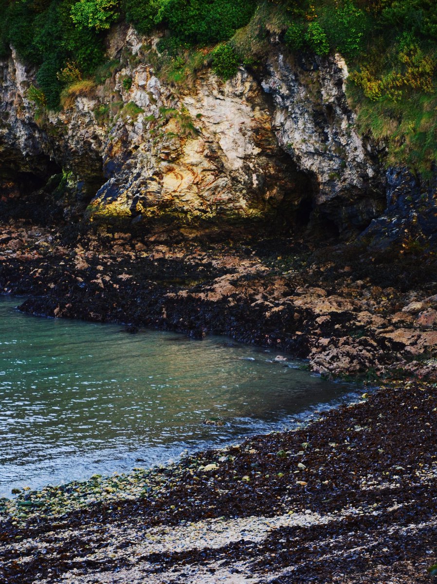 5 Étoiles tweet media