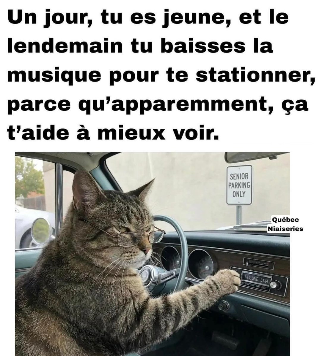 Sofboubou (@sofboubou1) on Twitter photo 