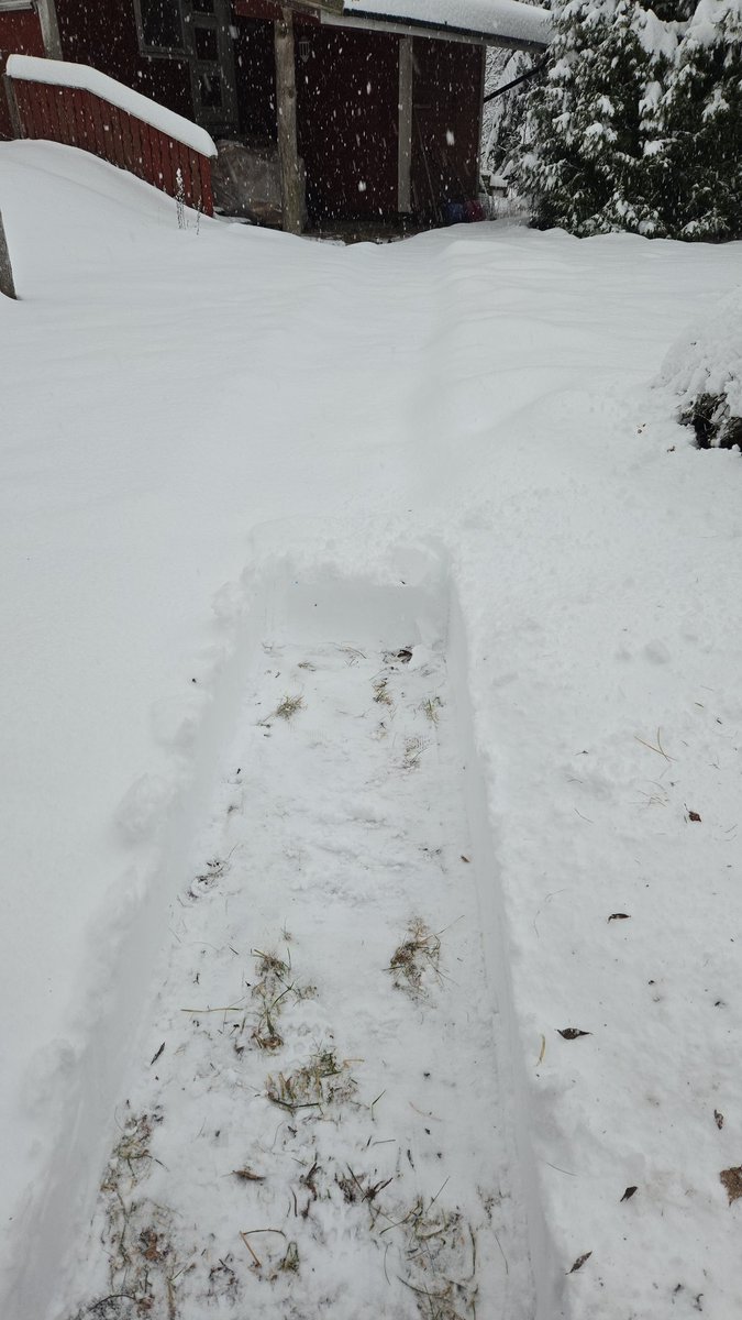 Simbaaaaa08's tweet image. Dit was gisteren een pad naar het hout voor de open haard. 😂🥲 Kan weer gedaan worden.