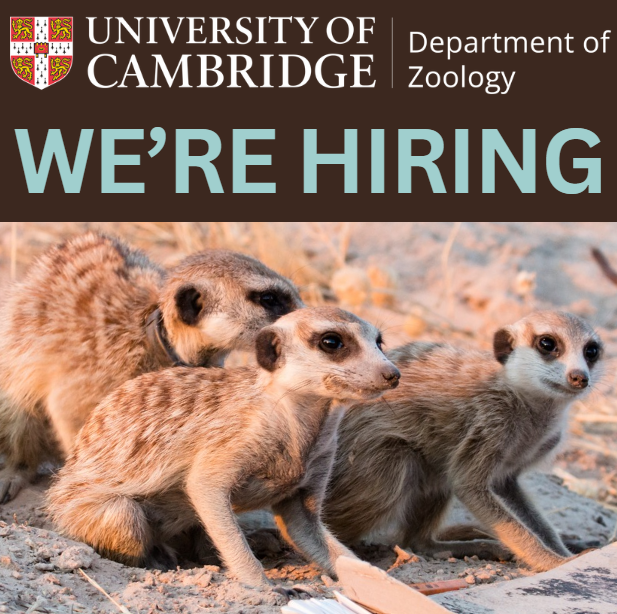 Dept of Zoology tweet media